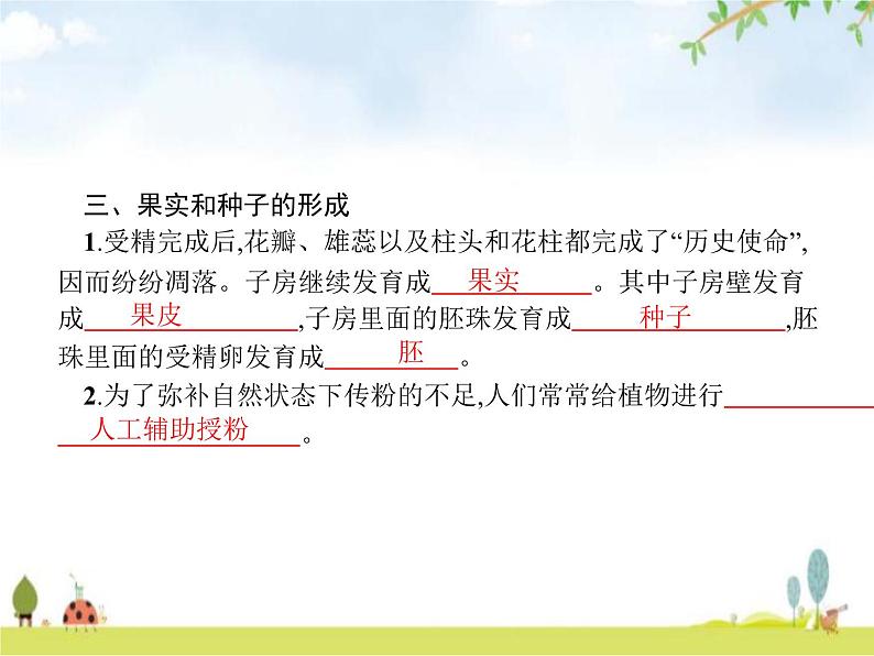 人教版初中生物七年级上册第3单元生物圈中的绿色植物第2章第3节开花和结果练习课件04