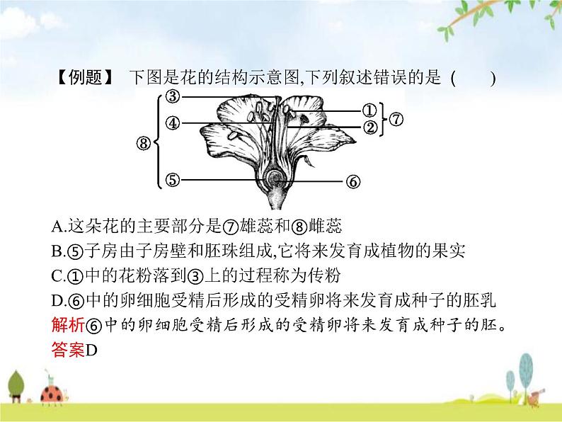 人教版初中生物七年级上册第3单元生物圈中的绿色植物第2章第3节开花和结果练习课件06