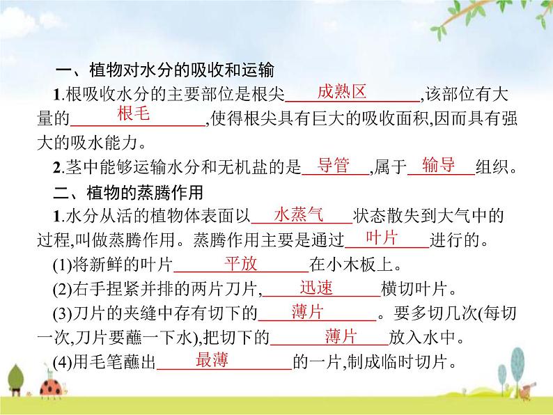 人教版初中生物七年级上册第3单元生物圈中的绿色植物第3章绿色植物与生物圈的水循环练习课件02