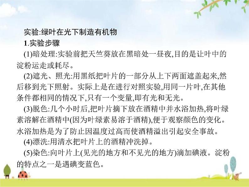 人教版初中生物七年级上册第3单元生物圈中的绿色植物第4章绿色植物是生物圈中有机物的制造者练习课件05