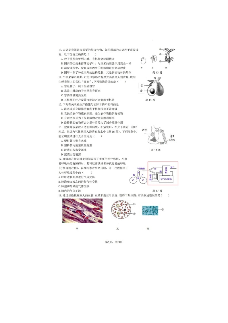 2022---2023年广州市初中生学业水平考试生物模拟题02