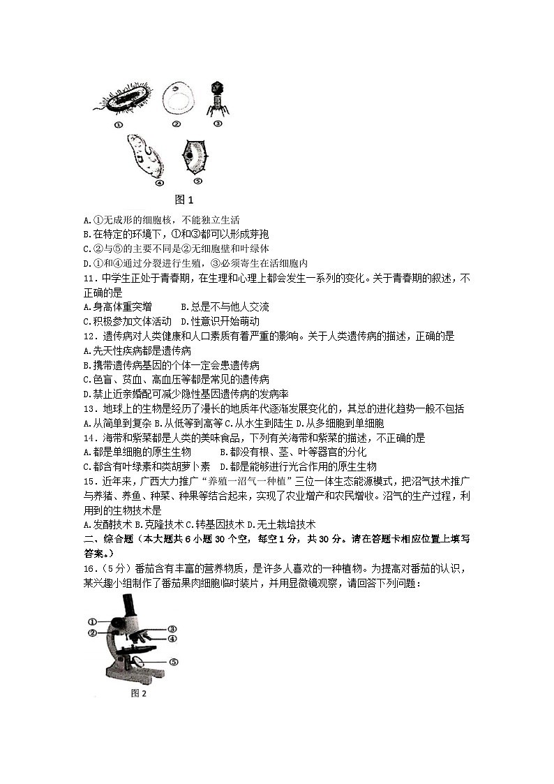 2023年广西贵港市港南区三模生物试题（含答案）02