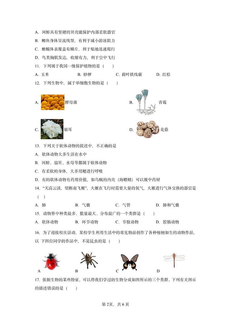 湖南省永州市零陵区珠山镇中学2022-2023学年八年级下学期期中质量监测试卷生物试卷+第2页
