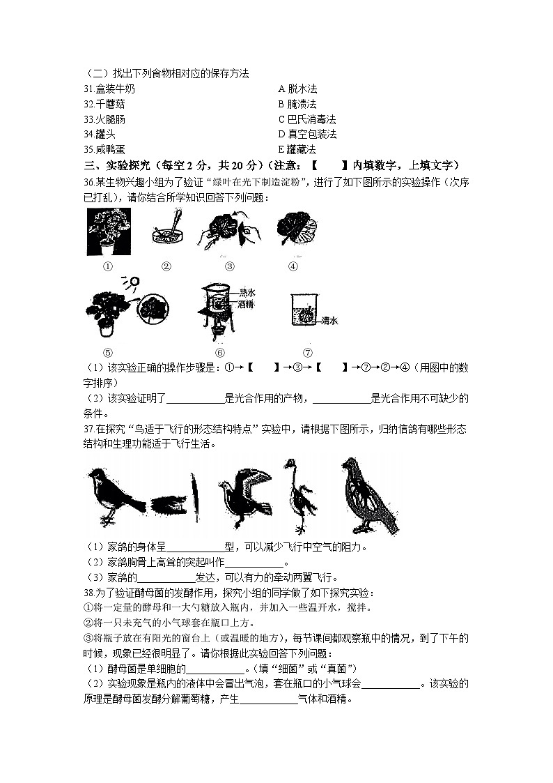 2023年黑龙江省齐齐哈尔市铁锋区中考二模生物试题03