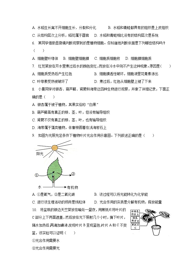 2022-2023学年山东省菏泽市东明县七年级（上）期末生物试卷（含解析）02