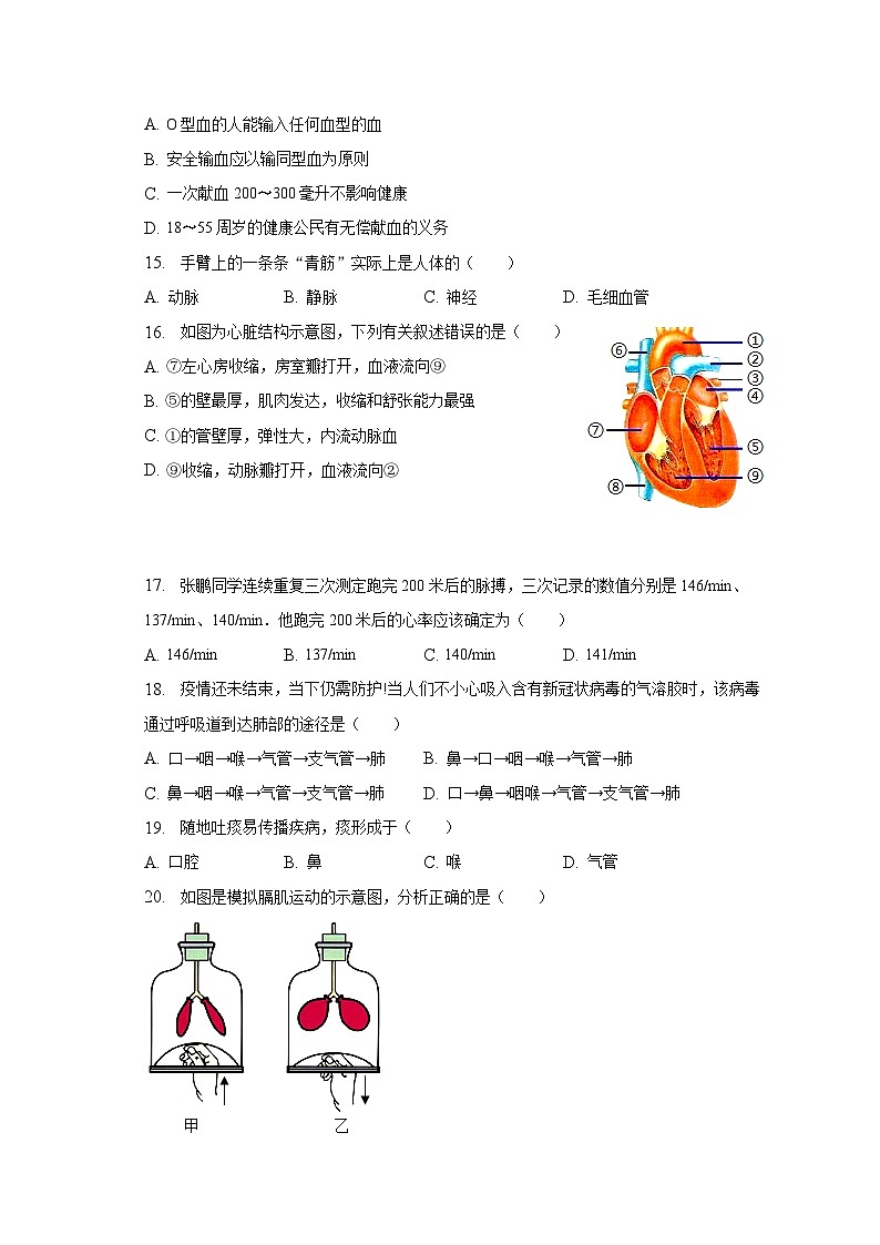 2022-2023学年安徽省滁州市全椒县七年级（下）期中生物试卷（含解析）第3页