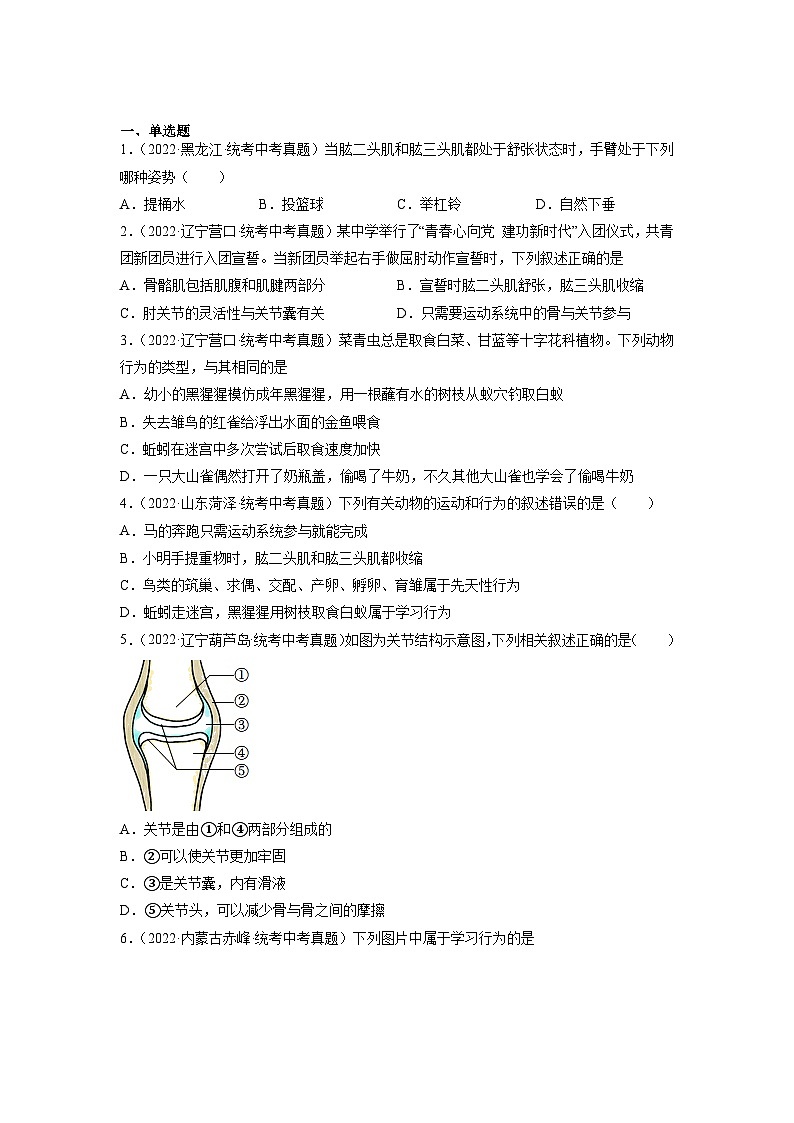 专题复习10 动物的运动和行为（原卷版）第3页