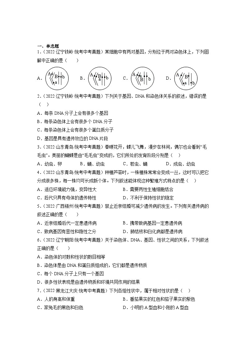 专题复习12 生物的遗传与变异（原卷版）第2页