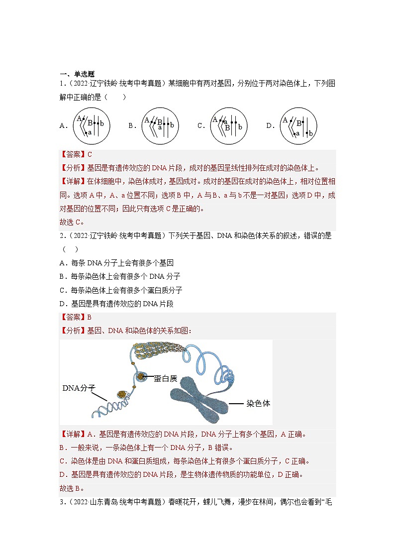 专题复习12 生物的遗传与变异（解析版）第2页