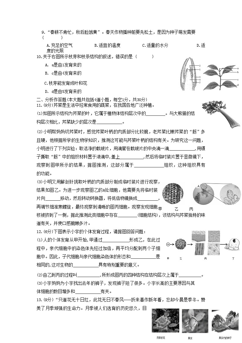 辽宁省鞍山市台安县2020-2021学年七年级上学期期中考试生物试题第2页