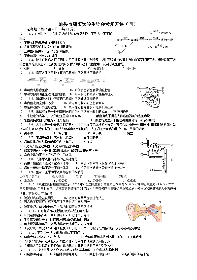 广东省汕头市潮阳实验学校2023生物会考复习卷四（无答案）第1页