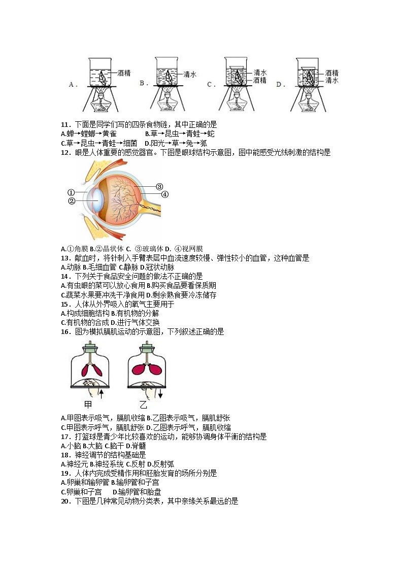 2023年北京市门头沟区二模生物试第2页