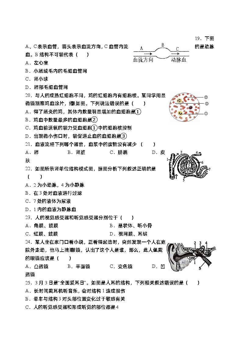 广东省茂名市高州市第一中学附属实验中学2022-2023学年七年级下学期5月月考生物试题第3页