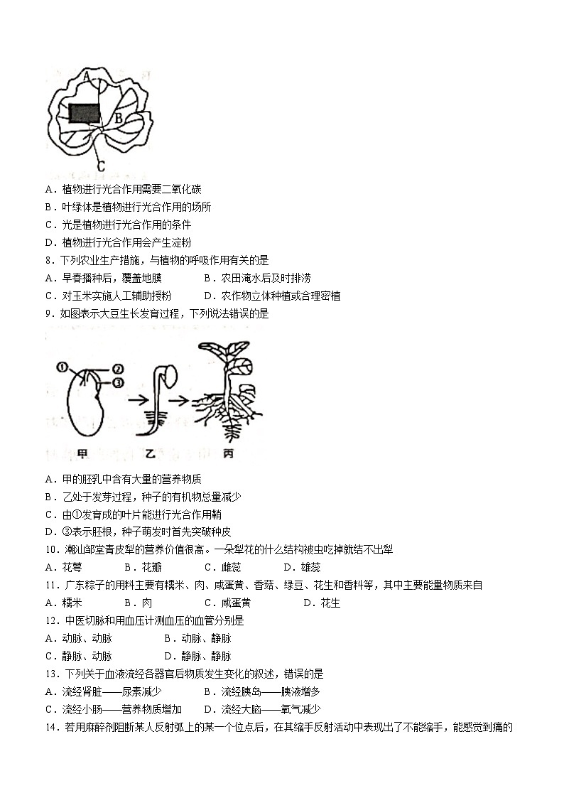 2023年广东省揭阳市揭东区中考二模生物试题(含答案)02