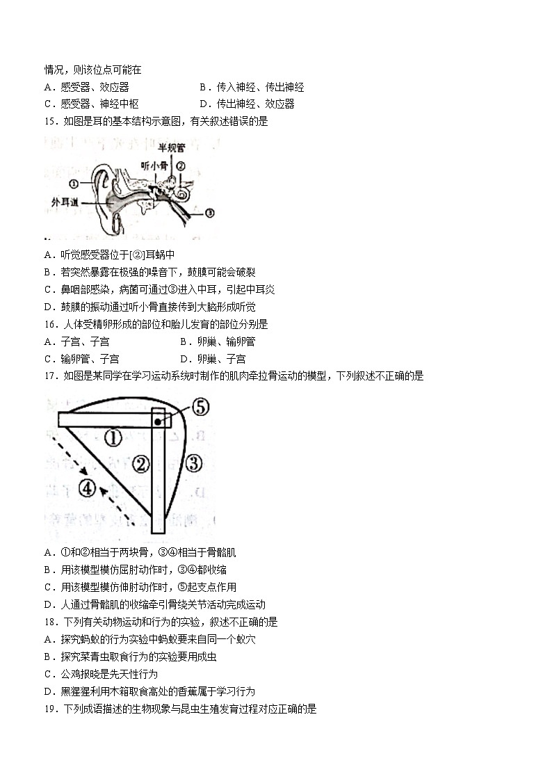 2023年广东省揭阳市揭东区中考二模生物试题(含答案)03