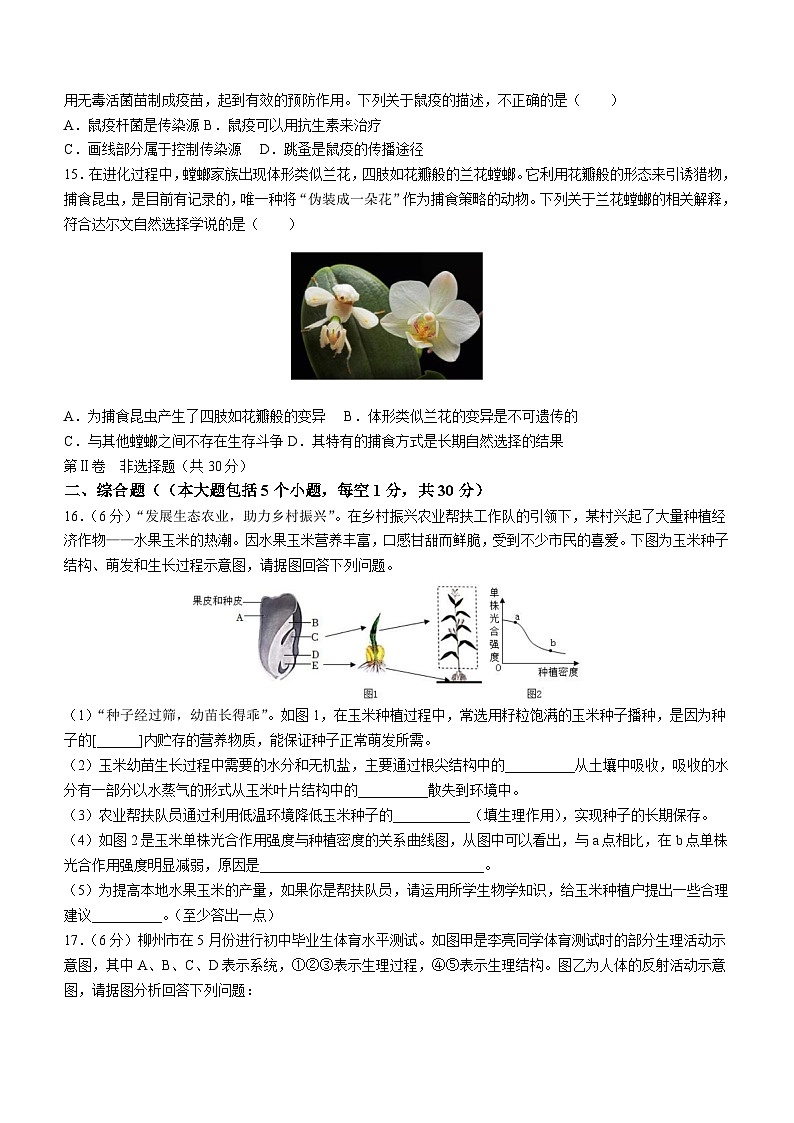 2023年广西柳州市柳东新区（鱼峰区）中考三模生物试题(含答案)03