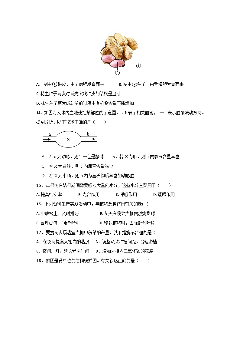2023年江西省新余市第五中学中考三模生物试卷(含答案)第3页
