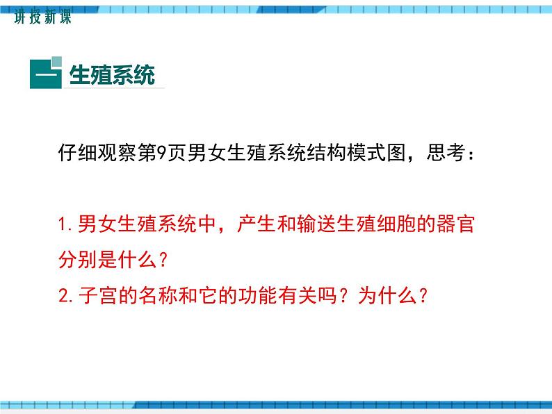 第一章人的由来第二节人的生殖课件第4页