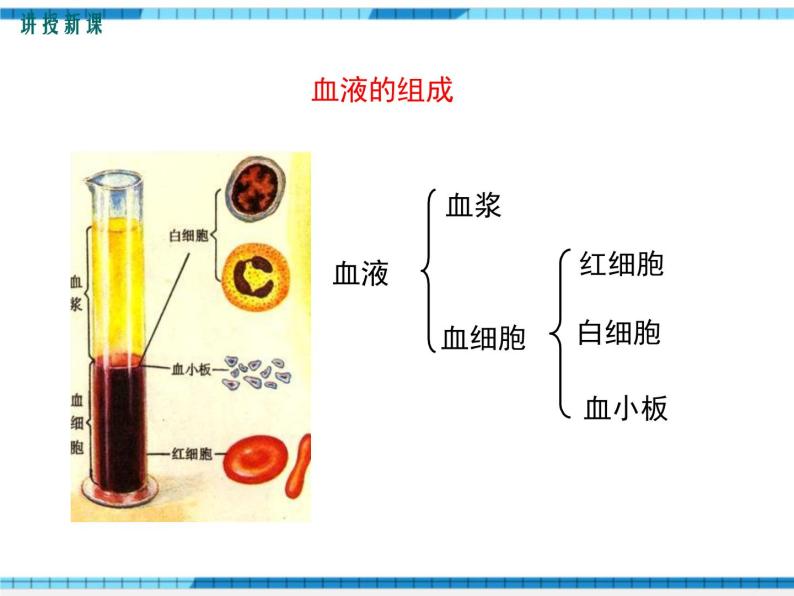 第四章人体内物质的运输第一节流动的组织——血液课件06