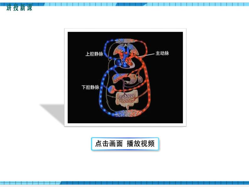 第四章人体内物质的运输第三节输送血液的泵——心脏第2课时血液循环的途径课件05