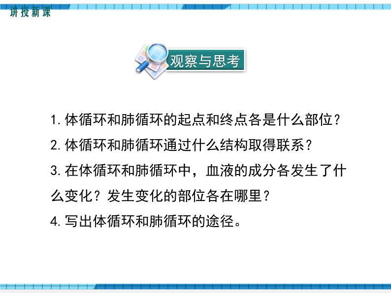 第四章人体内物质的运输第三节输送血液的泵——心脏第2课时血液循环的途径课件06