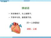 第四章人体内物质的运输第三节输送血液的泵——心脏第1课时心脏的结构和功能课件