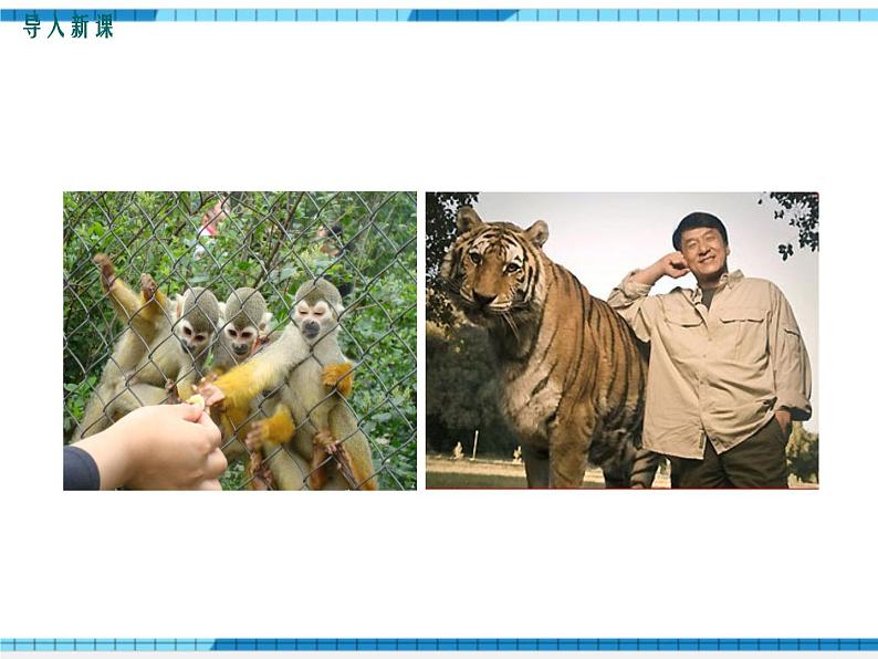 第七章人类活动对生物圈的影响第三节拟定保护生态环境的计划课件第2页