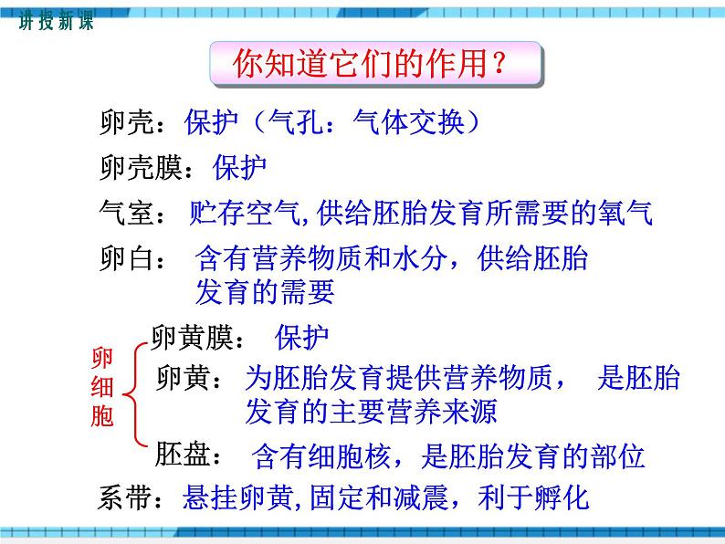 第一章生物的生殖和发育第四节鸟的生殖和发育课件第5页