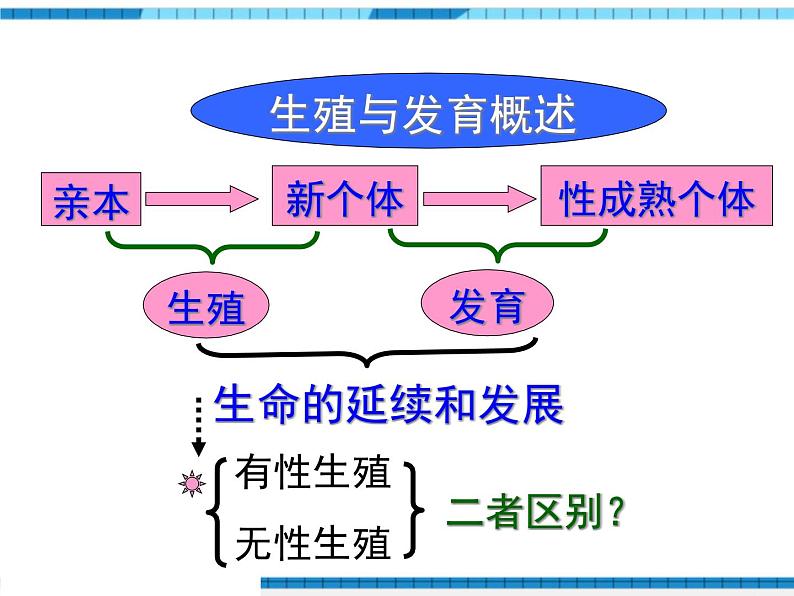 第一章生物的生殖和发育小结与复习课件第3页