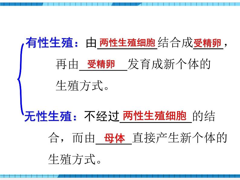 第一章生物的生殖和发育小结与复习课件第4页