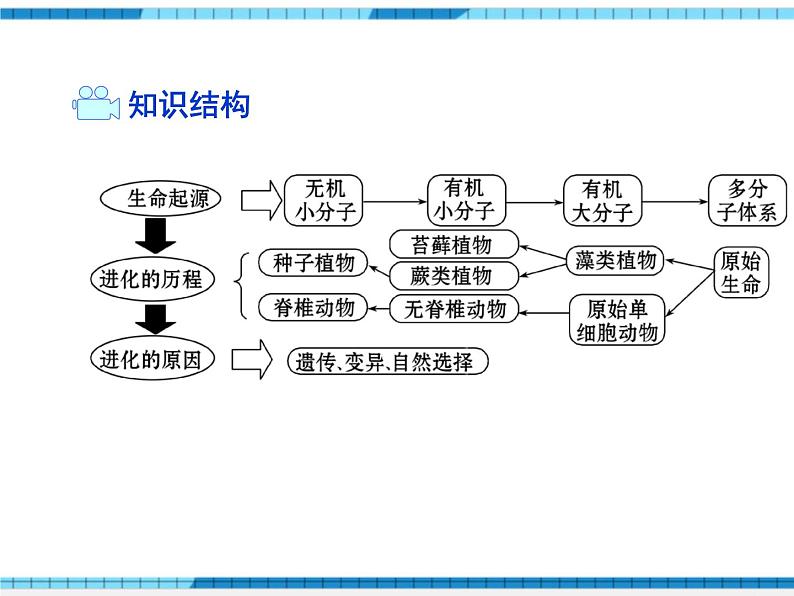 第三章生命起源和生物进化小结与复习课件02