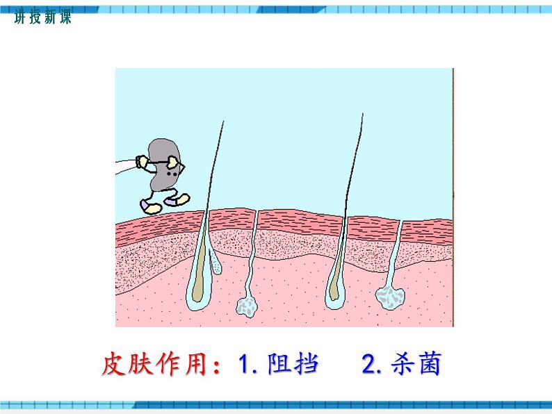 第一章传染病和免疫第二节免疫与计划免疫第1课时人体的三道防线课件05