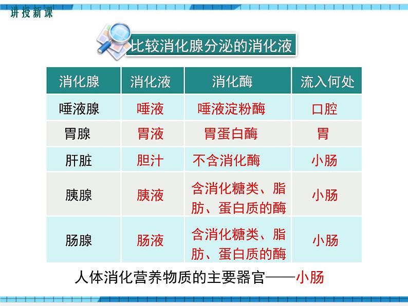 第8章人体的营养第2节食物的消化和营养物质的吸收课件07