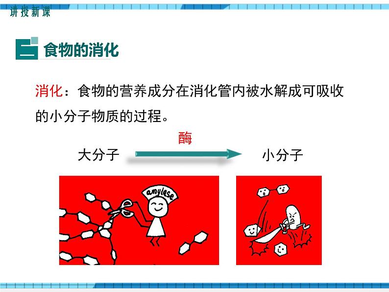 第8章人体的营养第2节食物的消化和营养物质的吸收课件08