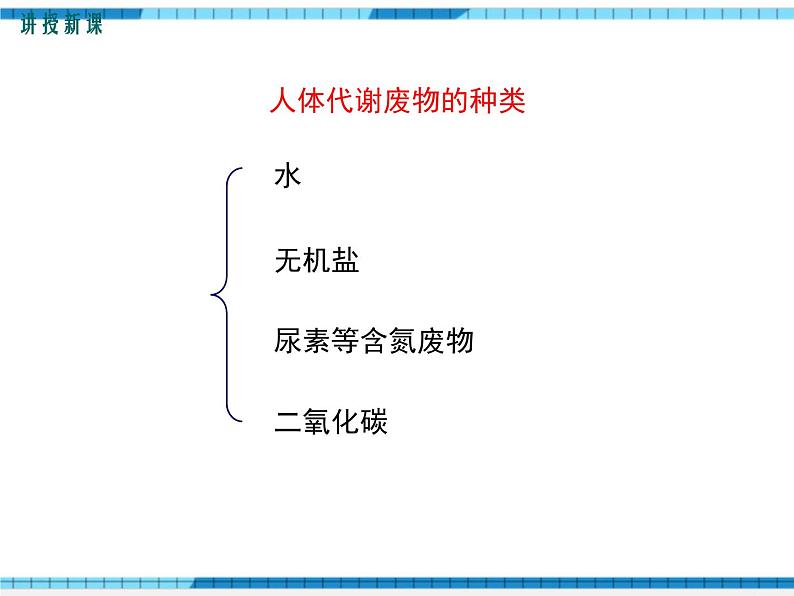 第11章人体代谢废物的排出第1节人体产生的代谢废物课件07