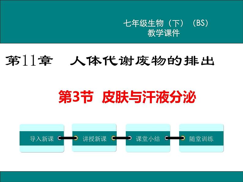 第11章人体代谢废物的排出第3节皮肤与汗液分泌课件01