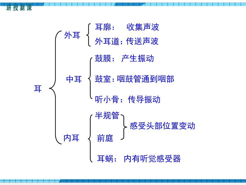 第12章人体的自我调节第2节感受器和感觉器官第2课时听觉、其他感受器课件06