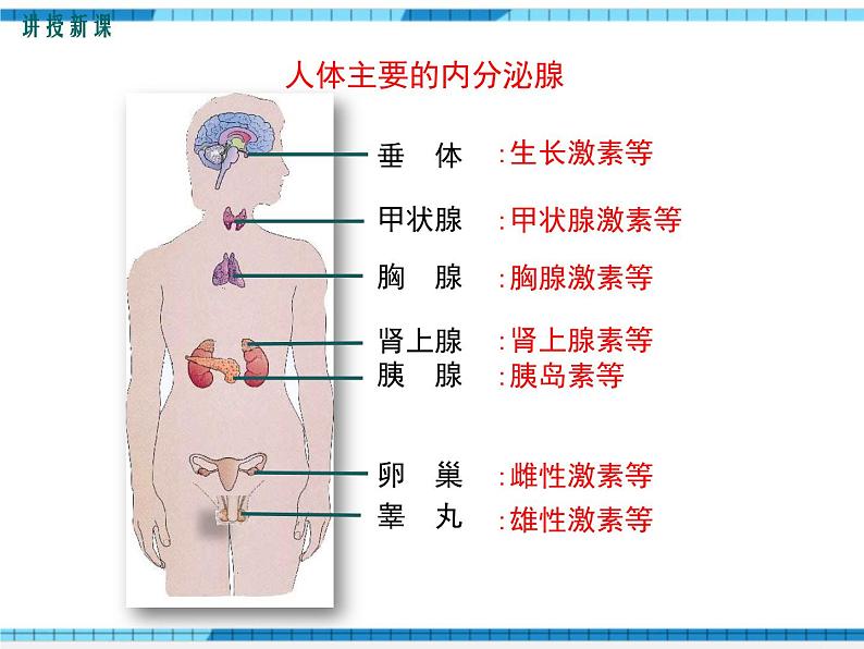 第12章人体的自我调节第3节激素调节课件第6页