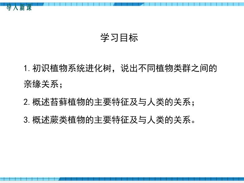 第22章物种的多样性第3节植物的主要类群第1课时苔藓植物和蕨类植物课件03