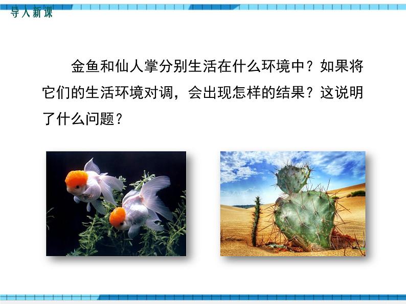 第23章生态系统及其稳定性第1节生物的生存依赖一定的环境课件02