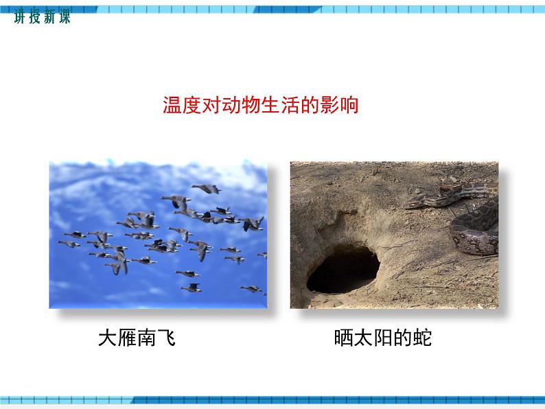 第23章生态系统及其稳定性第1节生物的生存依赖一定的环境课件08