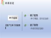 第十四章丰富多彩的生物世界第一节五彩缤纷的植物世界第2课时课件