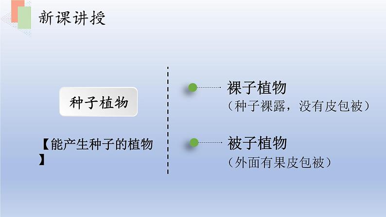 第十四章丰富多彩的生物世界第一节五彩缤纷的植物世界第2课时课件05