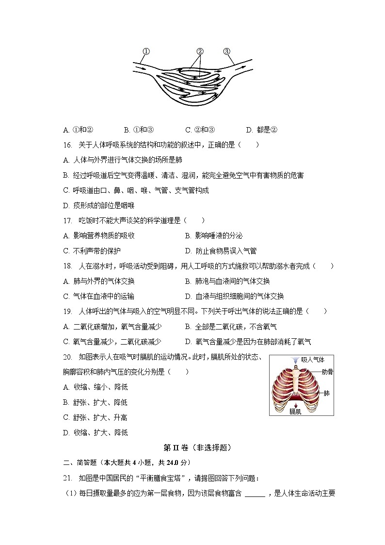 2022-2023学年河南省南阳市宛城区七年级（下）期中生物试卷（含解析）第3页
