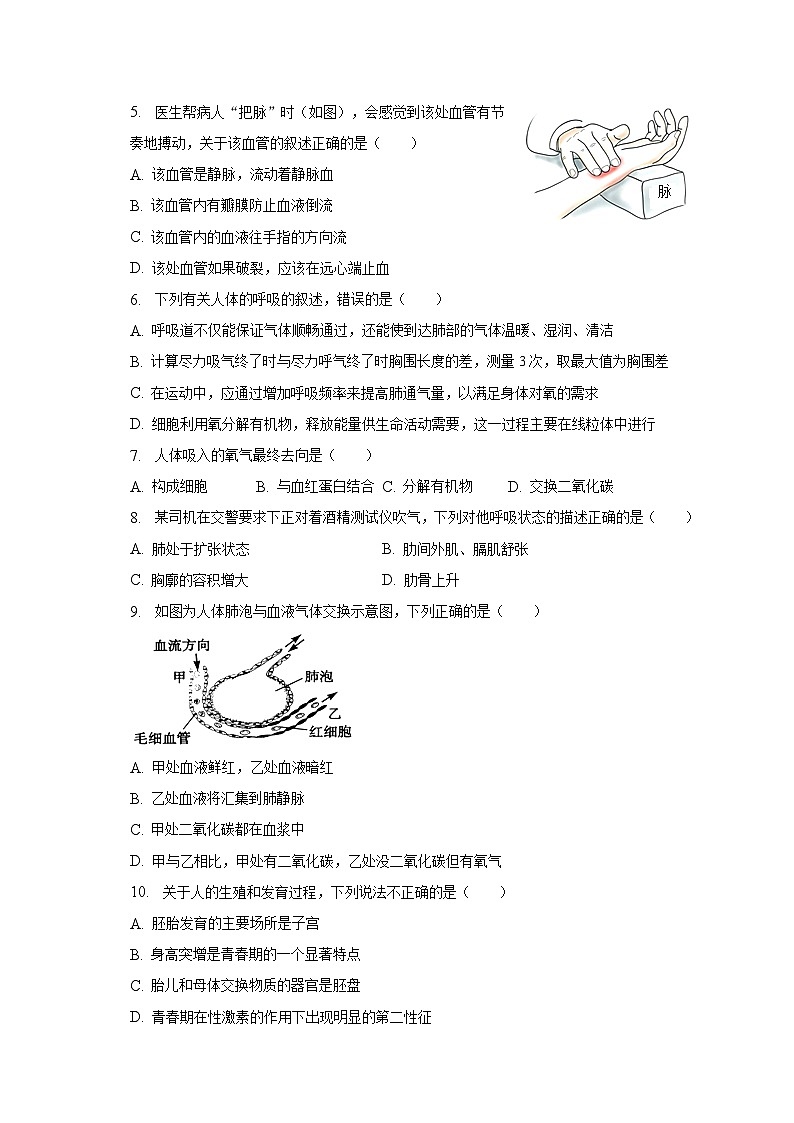 2022-2023学年湖北省荆门市京山市七年级（下）期中生物试卷（含解析）02