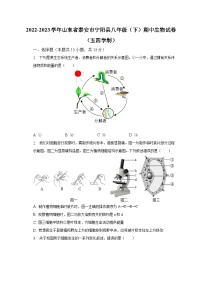 2022-2023学年山东省泰安市宁阳县八年级（下）期中生物试卷（五四学制）（含解析）
