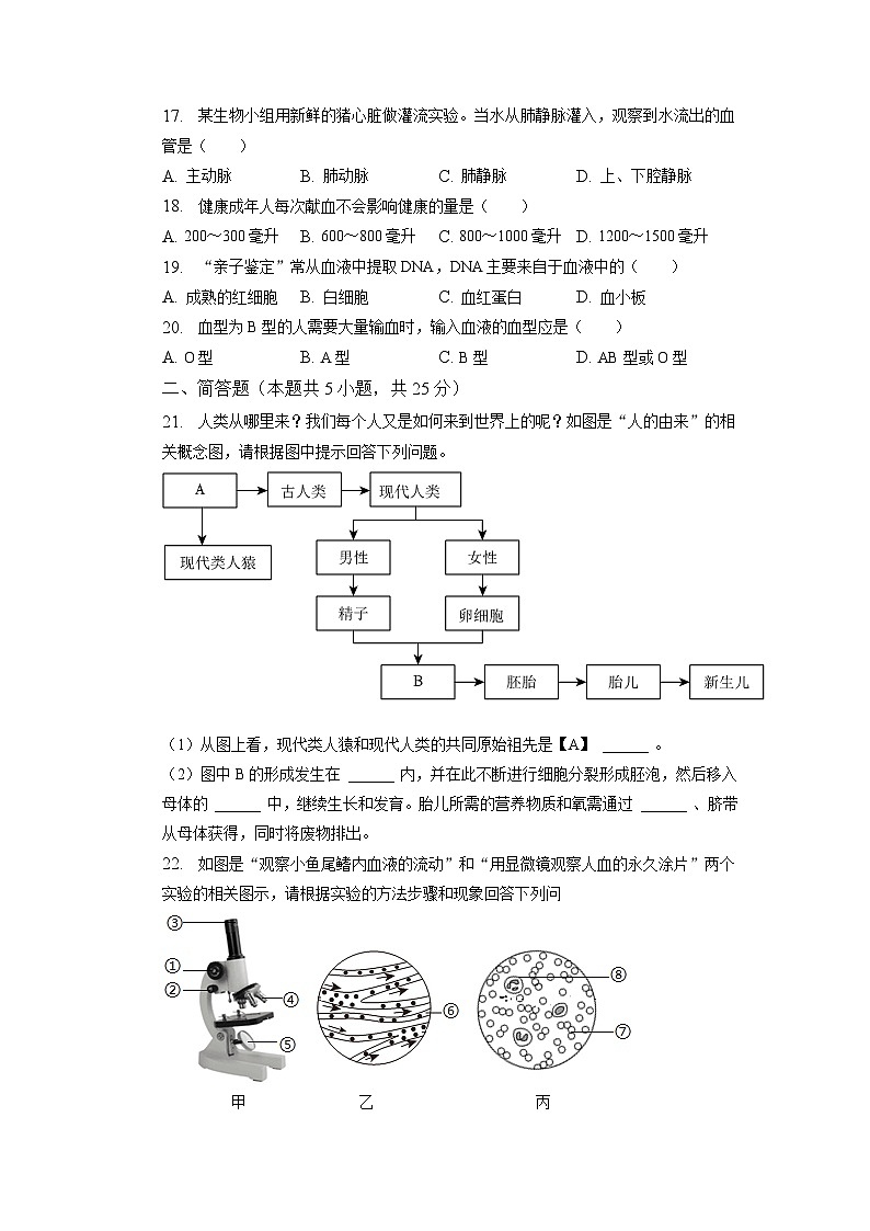 吉林省长春市朝阳区2022-2023学年七年级下学期期中生物试卷03