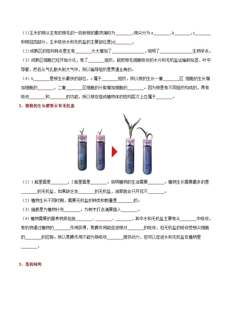 生物（二）-2023年中考考前20天终极冲刺攻略（原卷版）第3页
