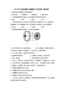 2023年山东省德州市德城区中考生物一模试卷（含解析）