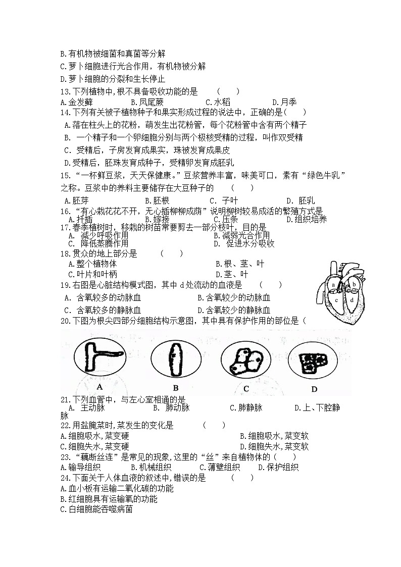 2023年江苏省宿迁市中心城区中考模拟生物试卷二第2页